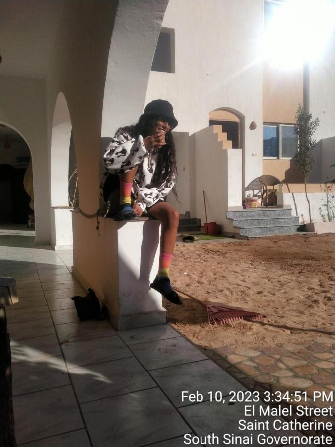Nook Hostel Dahab Bagian luar foto