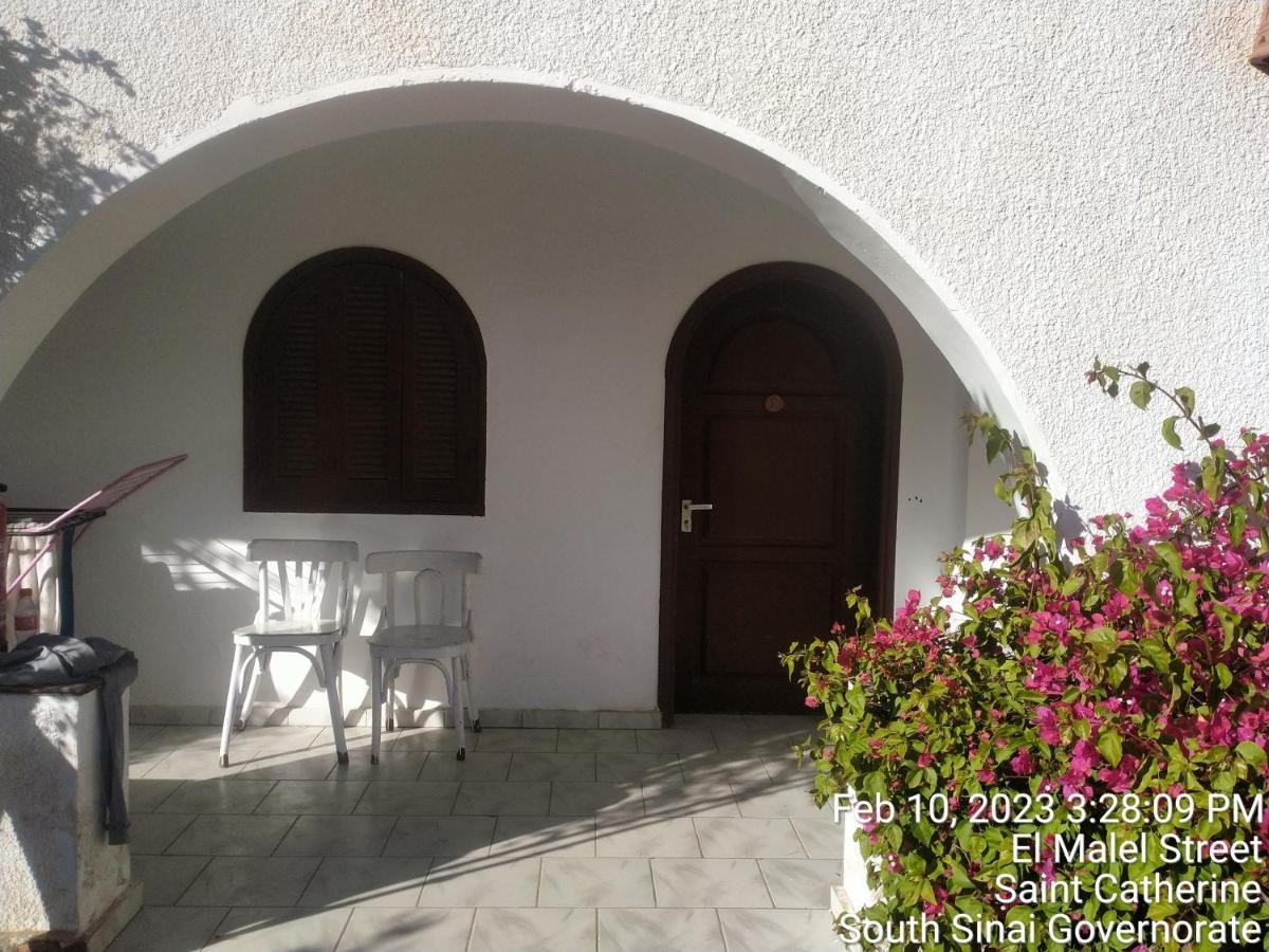 Nook Hostel Dahab Bagian luar foto