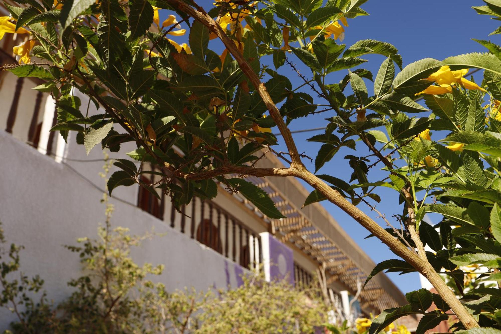 Nook Hostel Dahab Bagian luar foto