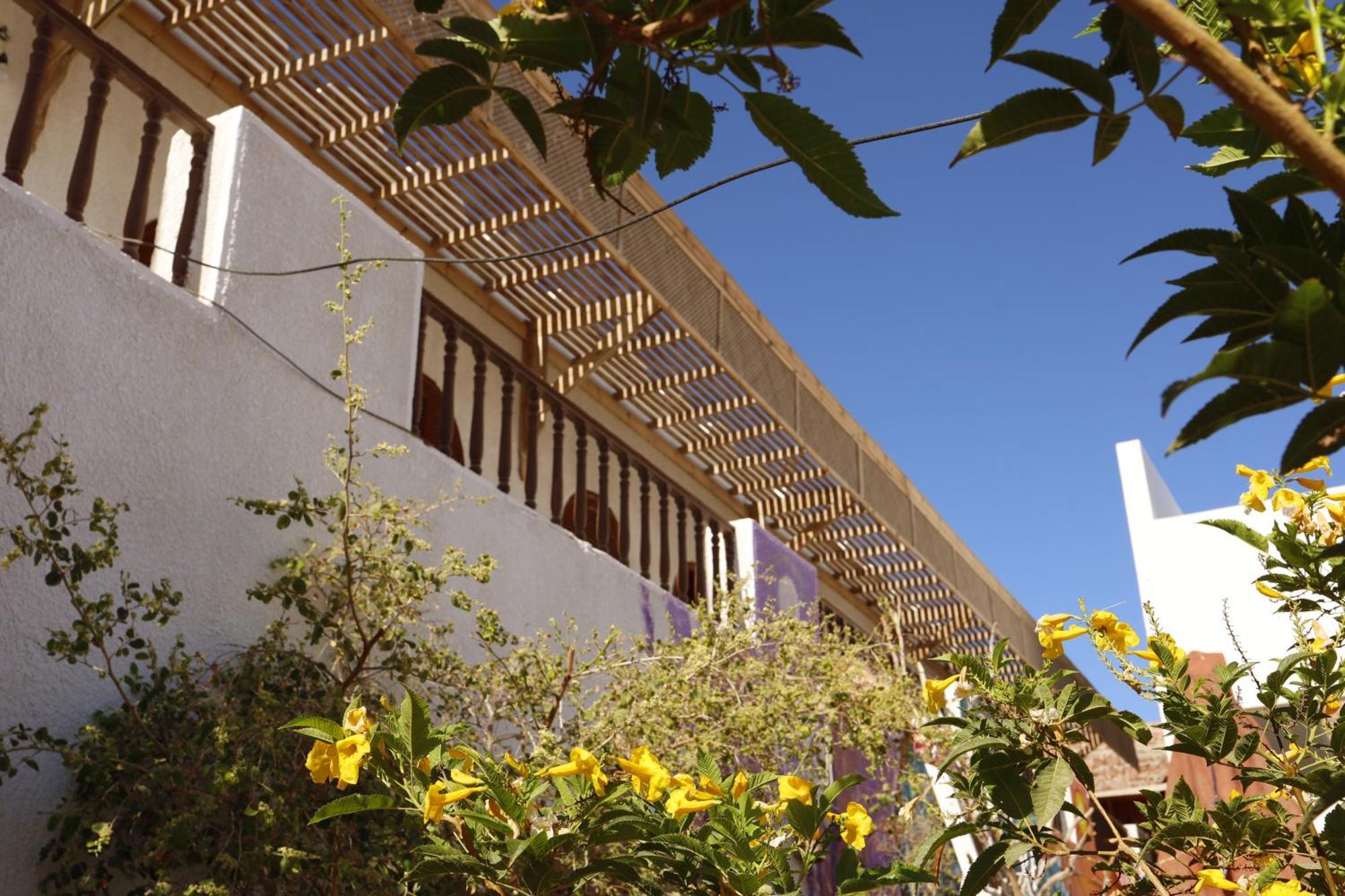 Nook Hostel Dahab Bagian luar foto