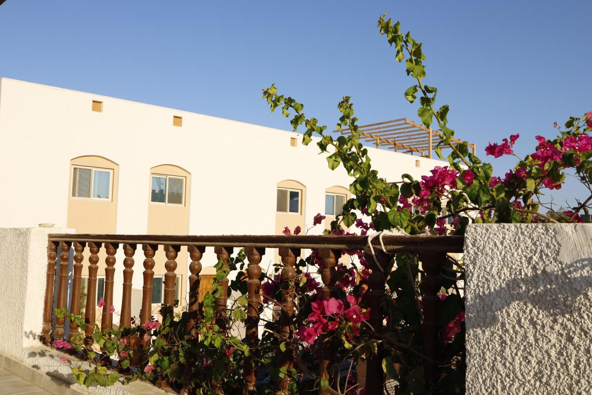 Nook Hostel Dahab Bagian luar foto