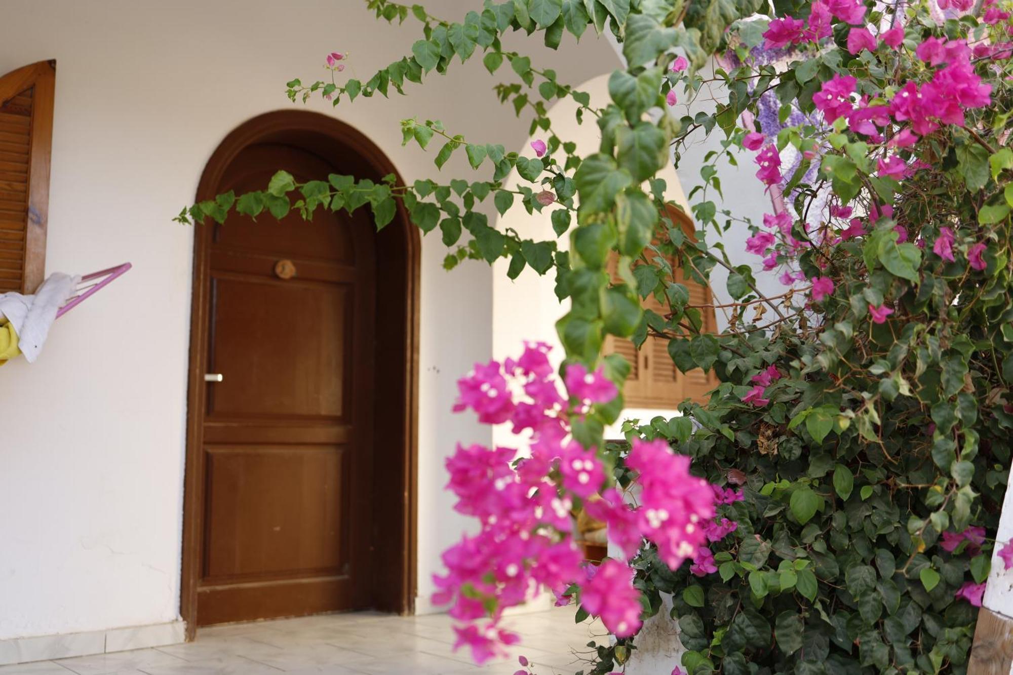 Nook Hostel Dahab Bagian luar foto